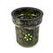 Korunka Solaris Glaze Eva Green Black